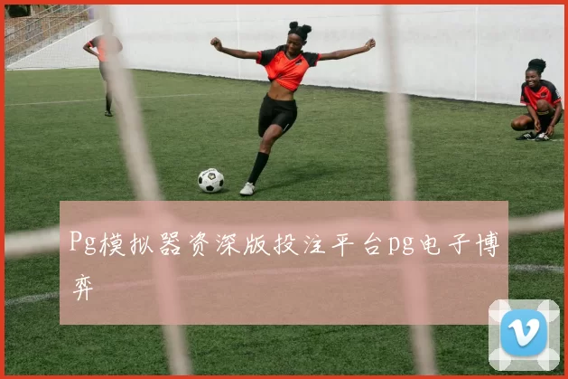 Pg模拟器资深版投注平台pg电子博弈