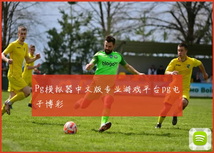 Pg模拟器中文版专业游戏平台pg电子博彩