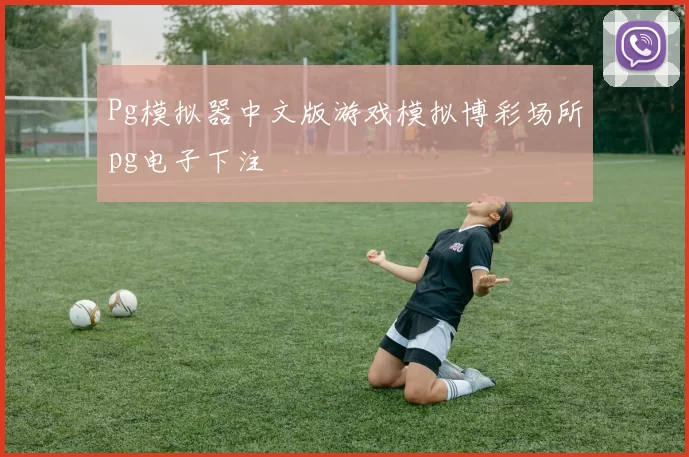 Pg模拟器中文版游戏模拟博彩场所pg电子下注