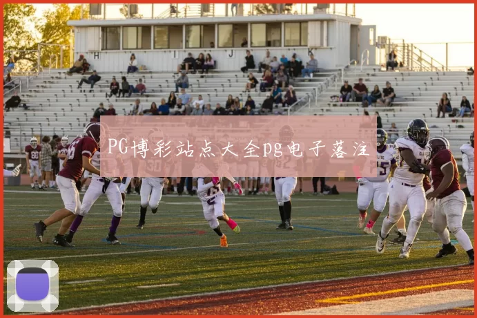 PG博彩站点大全pg电子落注
