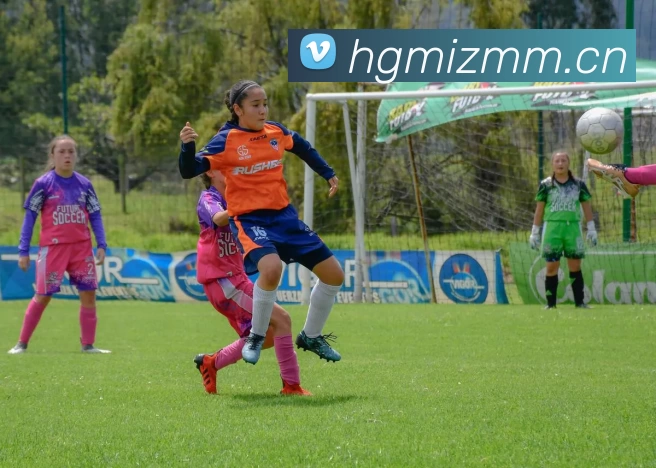 pg电子试玩品牌故事